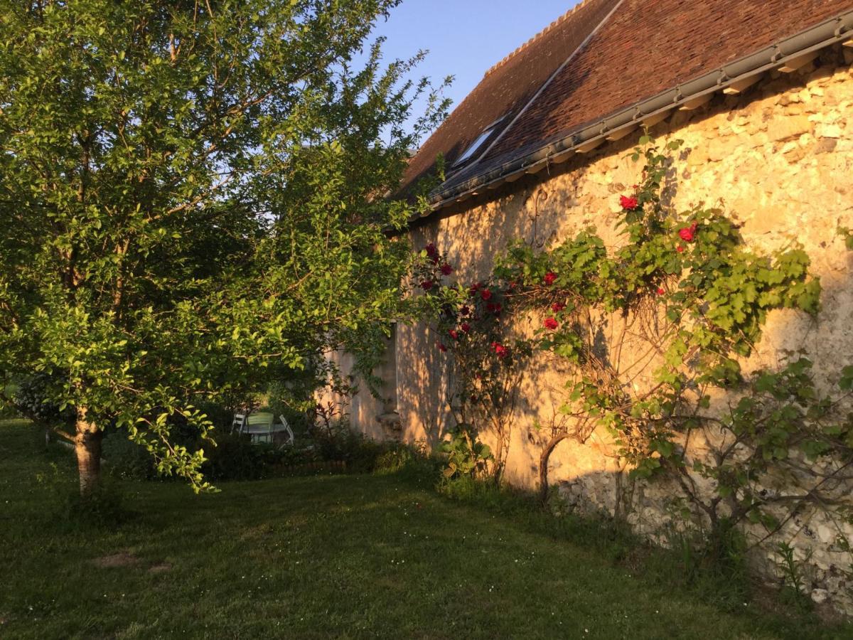 Chambres D'Hotes La Ferme Du Grand Launay Semblançay Екстериор снимка
